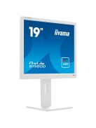 iiyama B1980D-W5, LED monitor (B1980D-W5)