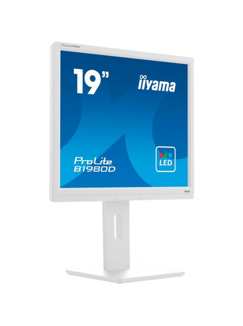 iiyama B1980D-W5, LED monitor (B1980D-W5)