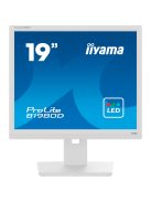 iiyama B1980D-W5, LED monitor (B1980D-W5)