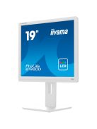 iiyama B1980D-W5, LED monitor (B1980D-W5)