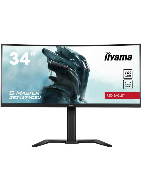 iiyama G-Master GB3467WQSU-B5 86.5cm (34") UWQHD monitor HDMI/DP 165Hz 0.4ms HDR (GB3467WQSU-B5)